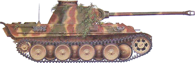 German Camouflage Panther