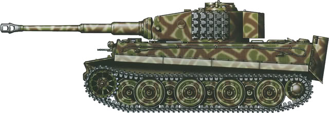 German Camouflage Tiger